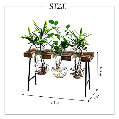 Tabletop Propagation Stations Planter Hydroponics Plants Glass Terrarium Bulb Vases w/ Wood Stand